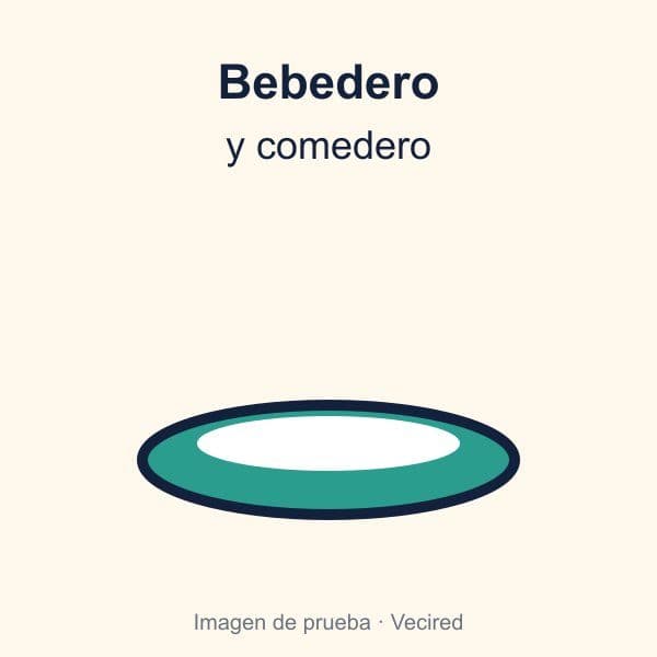 Bebedero y comedero